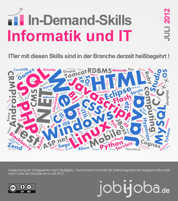 Infografik Informatik IT Skills