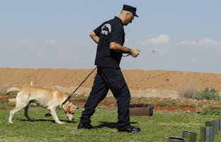 Agent cynophile sécurité