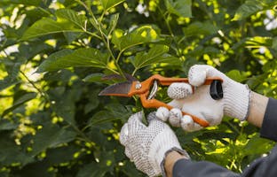 Agent d'entretien des espaces verts