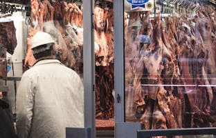 Responsable qualité agroalimentaire