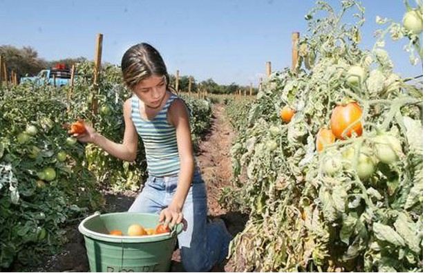 Edad mínima para trabajar en México